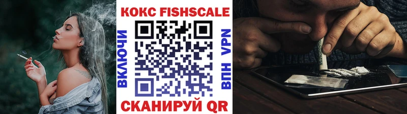 МЕГА ссылка  Касимов  Cocaine 98%  купить  цена 