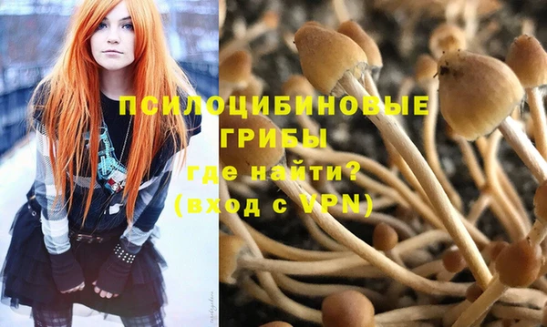 COCAINE Алексеевка