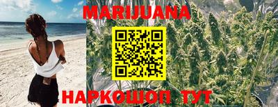 трава Краснознаменск